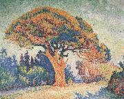 Paul Signac Pine Tree at Saint-Tropez painting